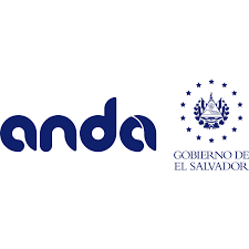 ANDA